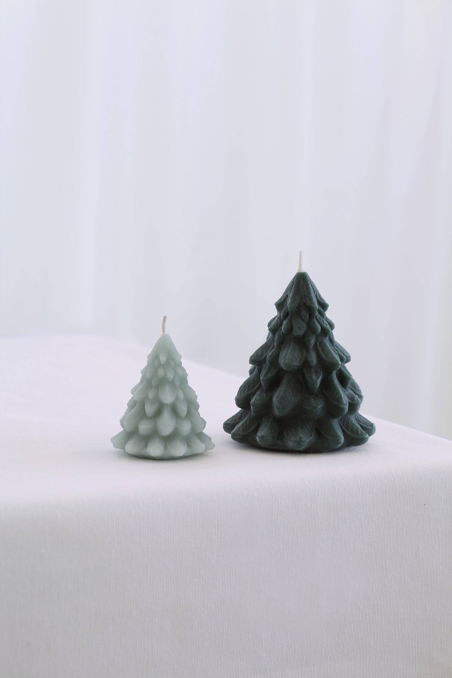 Beeswax Trees Small