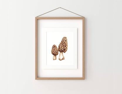 Morel Mushrooms Watercolor Art Print