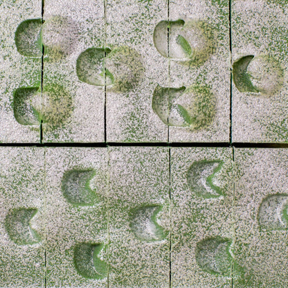 Sweet Spruce - Artisan Soap