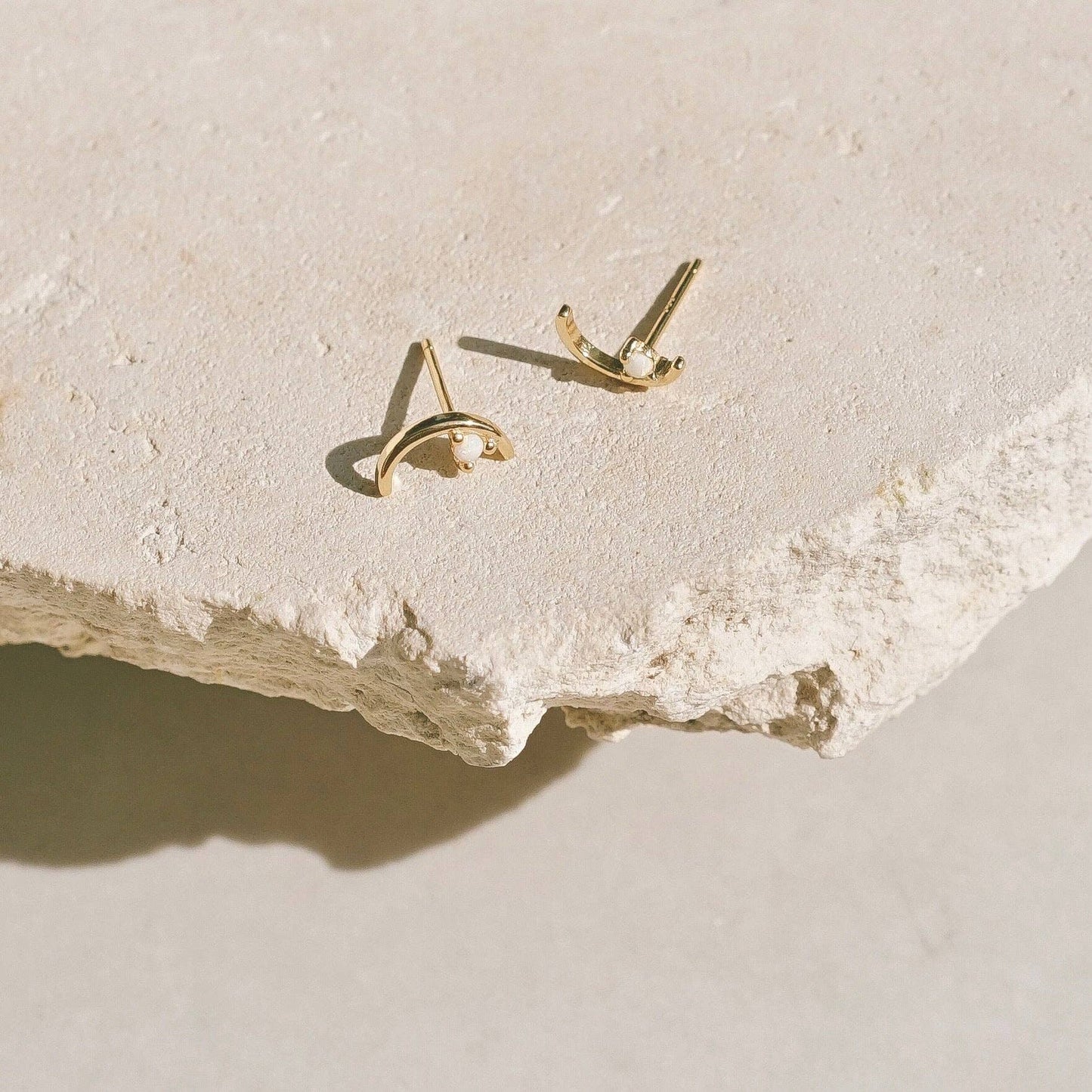 Seine Earrings
