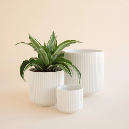 Lucy Planter | White : 3 inch