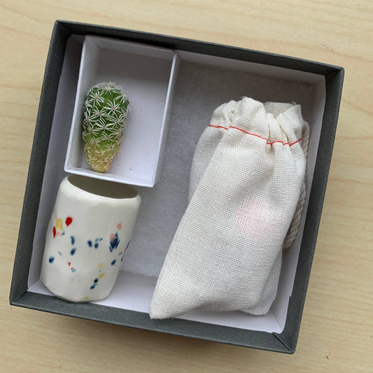 Mini Cactus Kit Speckled Ceramic vase