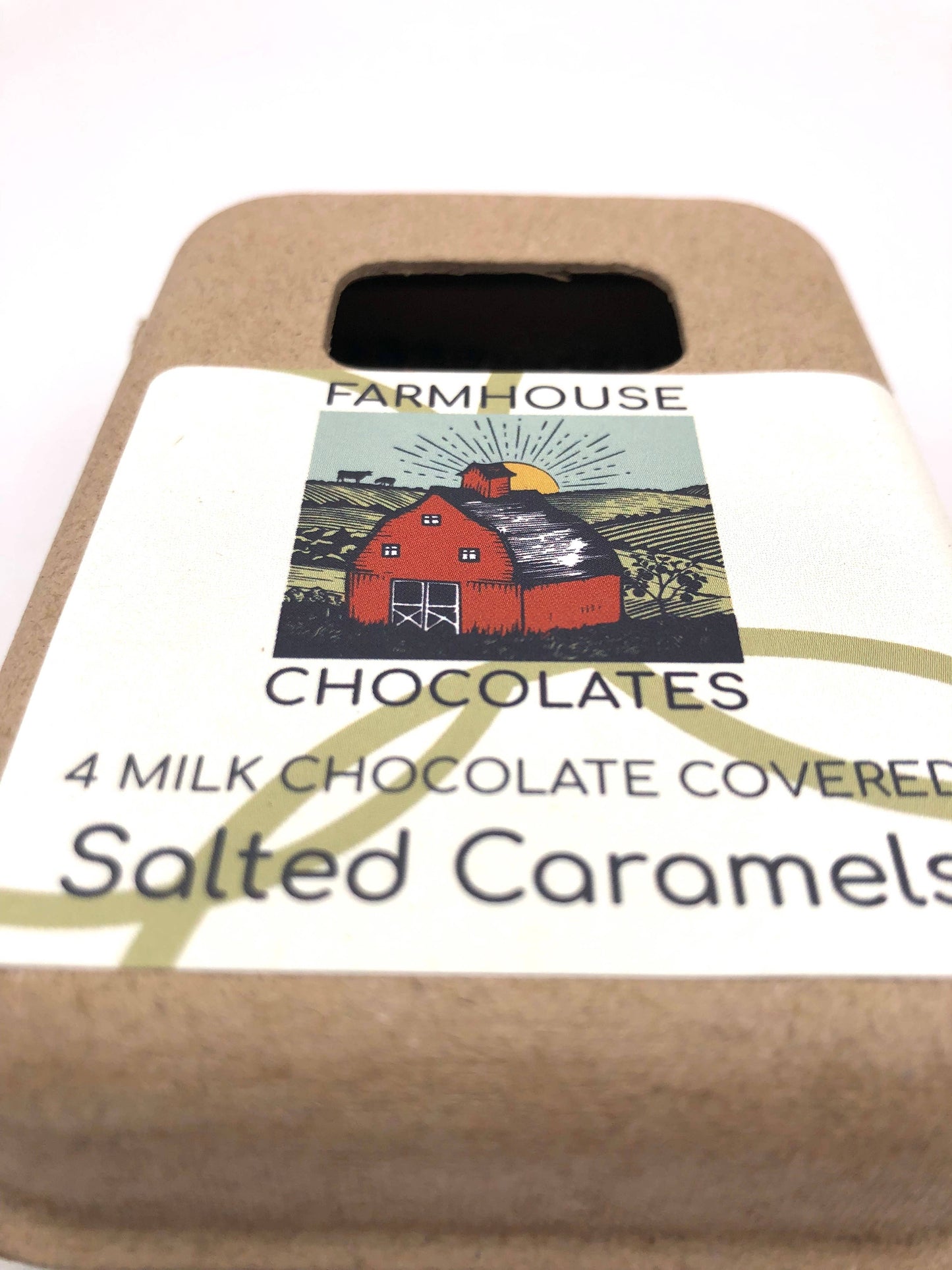 4 Piece Milk Chocolate Covered Salted Caramels