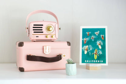 Mini Cactus Kit Blue Ceramic Vase