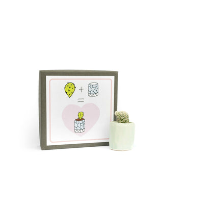 Mini Cactus Kit Blue Ceramic Vase