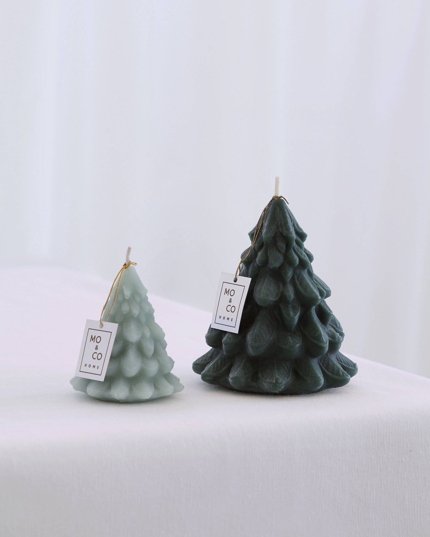 Beeswax Trees Small