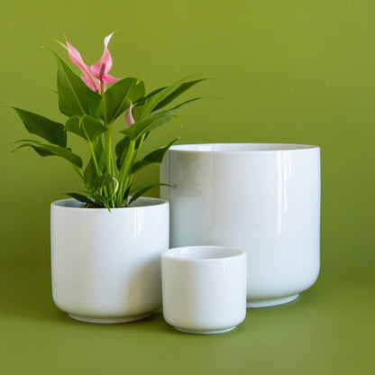 Charlie Planter | White