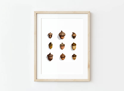 Acorns Watercolor Art Print