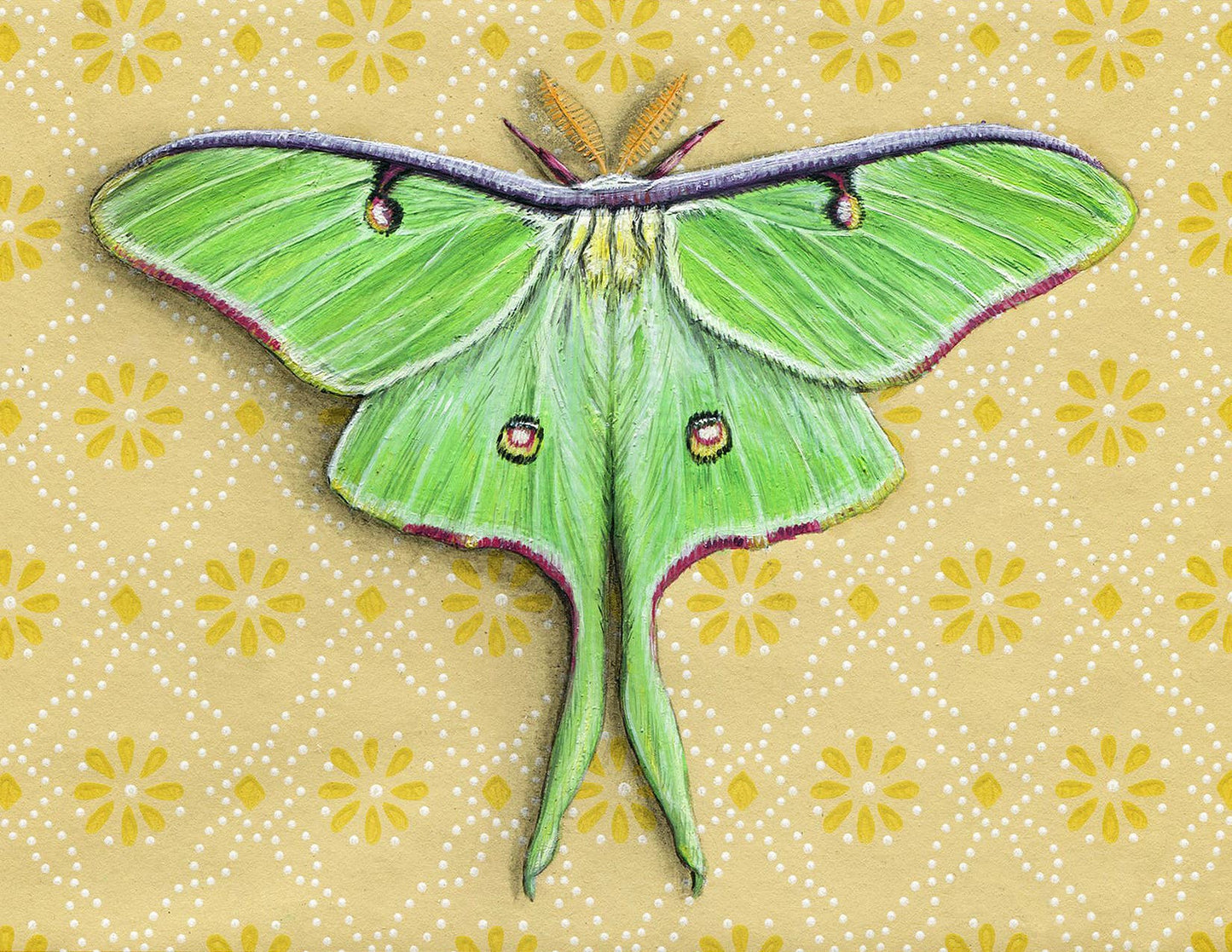 Emily Uchytil - Luna Moth - Note Card