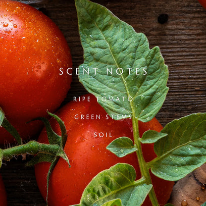 Heirloom Tomato Candle - 2 wick