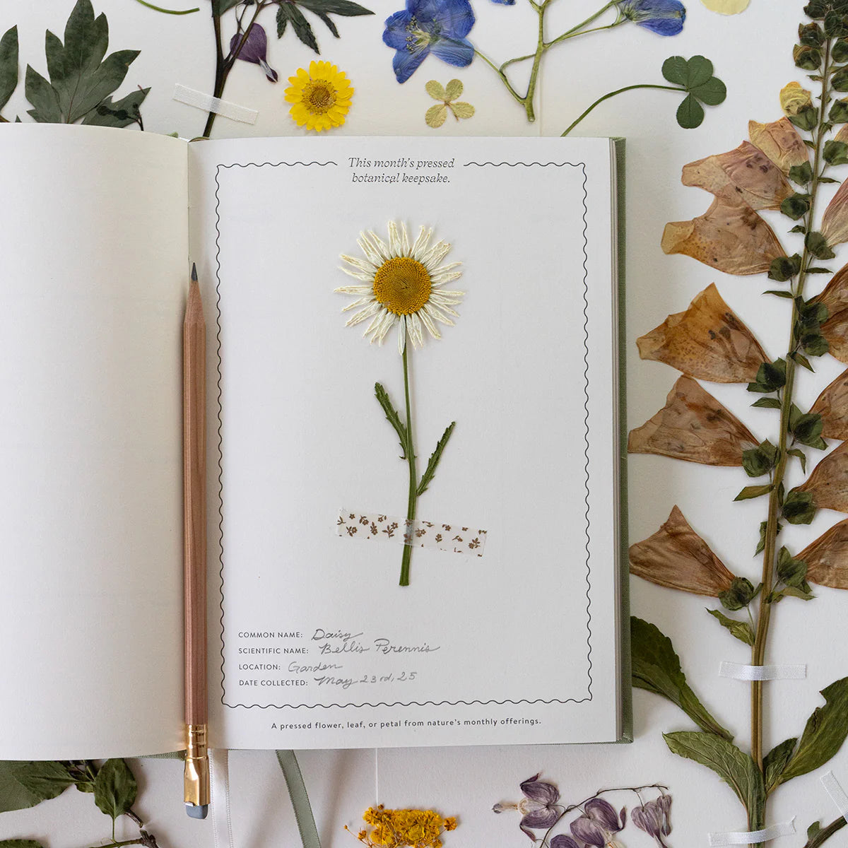 HERBARIUM | LINEN-BOUND UNDATED WEEKLY PLANNER