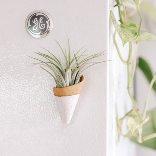 Tiny Ceramic Magnet Planter: Speckled White / With Plant