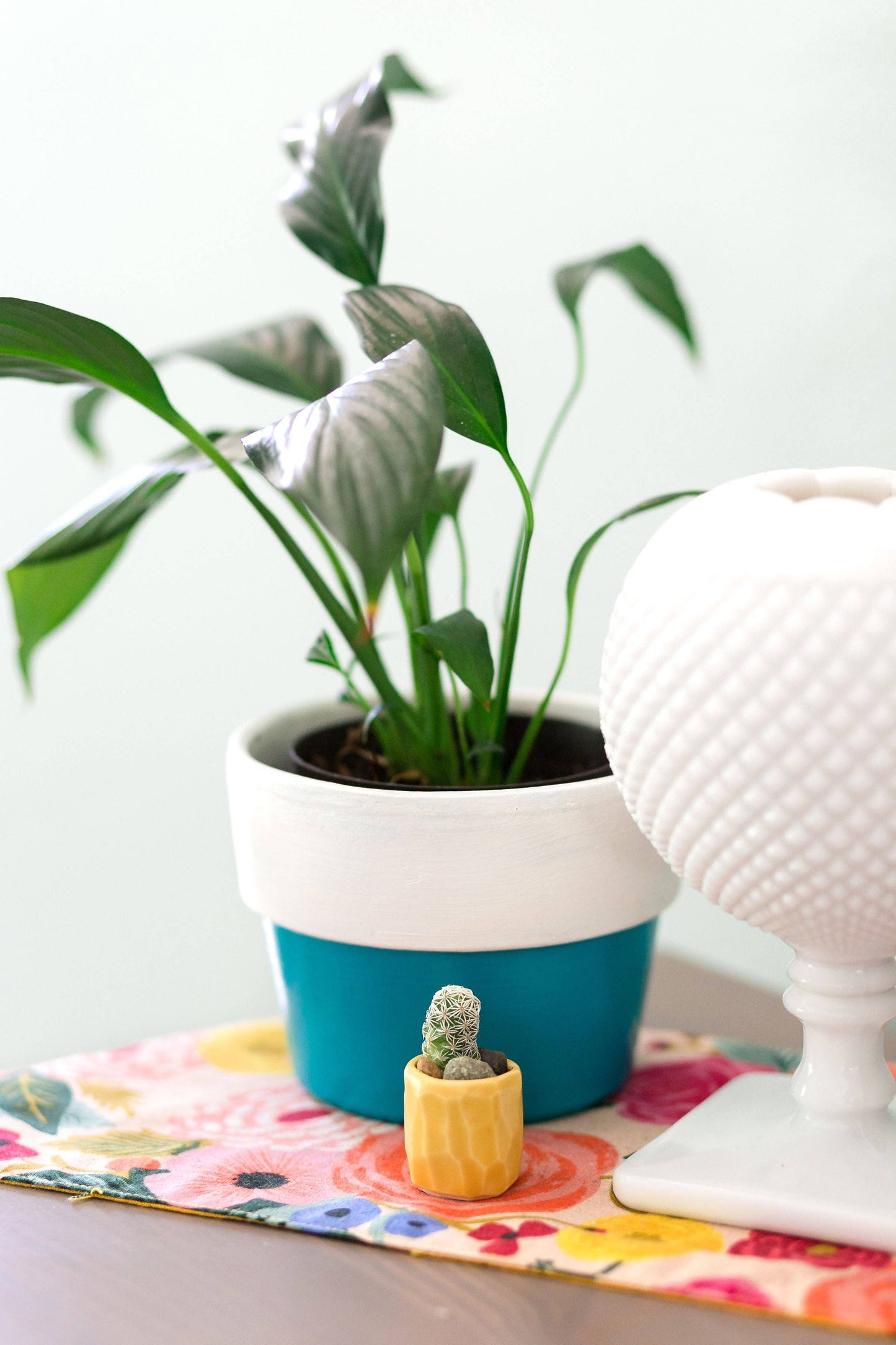 Mini Cactus Kit Yellow Ceramic Vase