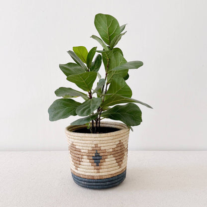 Bugoya Basket Planter