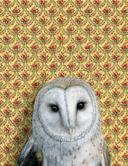 Emily Uchytil - Barn Owl -  Note Card