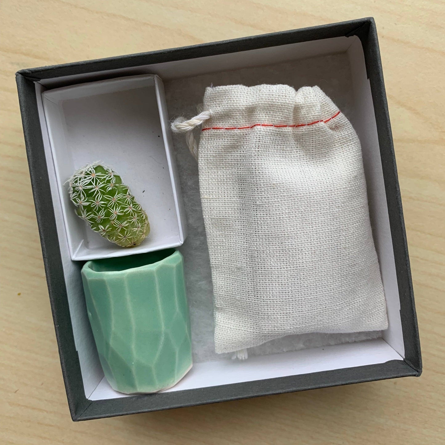 Mini Cactus Kit- Green Ceramic Vase