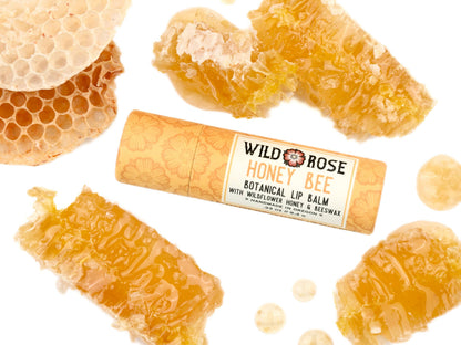 Wild Rose Herbs - Honey Bee - Natural Lip Balm: 12-Pack Display Box