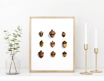 Acorns Watercolor Art Print