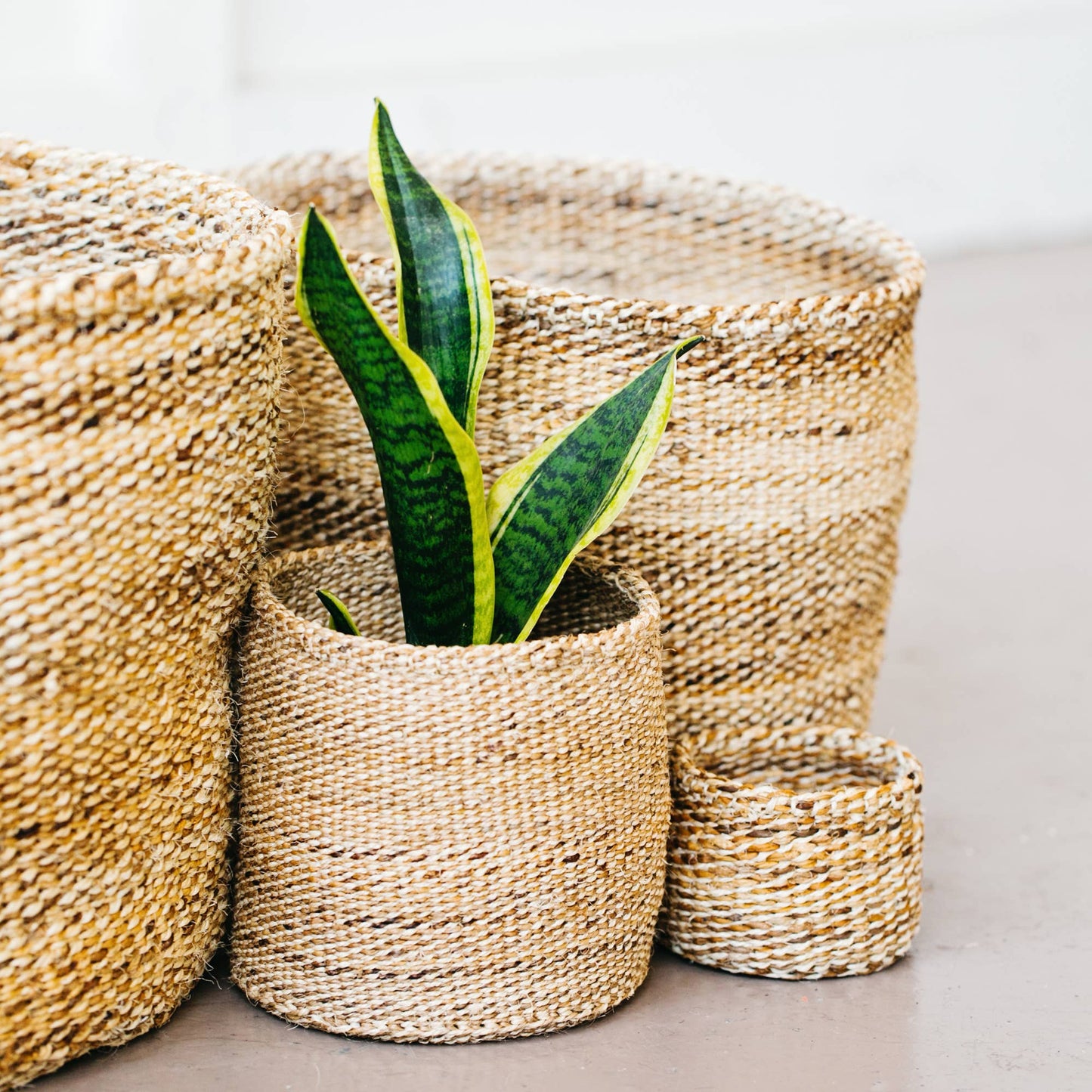 Storage Plant Basket: Banana Leaf: Large