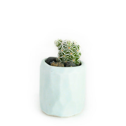 Mini Cactus Kit Blue Ceramic Vase