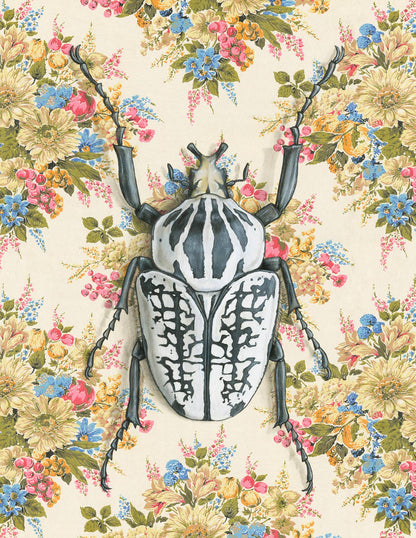 Emily Uchytil - Goliath Beetle - Note Card