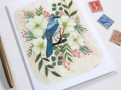 Greeting Card Blank - Scrub Jay