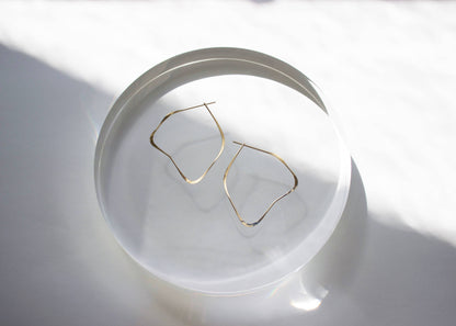 Organic Earrings