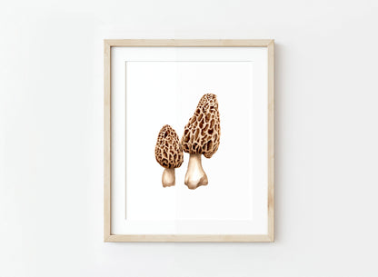 Morel Mushrooms Watercolor Art Print
