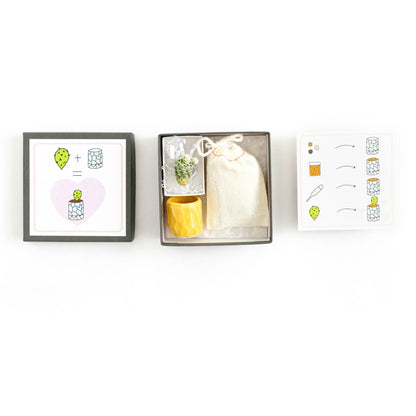 Mini Cactus Kit Yellow Ceramic Vase