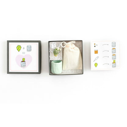 Mini Cactus Kit Blue Ceramic Vase