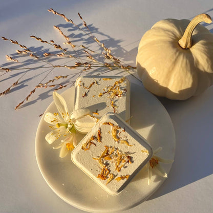 Botanical Shower Steamers - Orange Clove