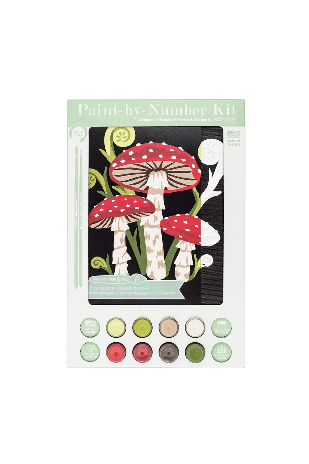 Fly Agaric Mushrooms Paint-by-Number Kit