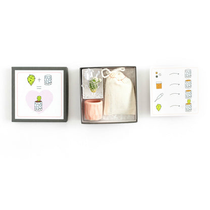 Mini Cactus Kit Pink Ceramic Vase