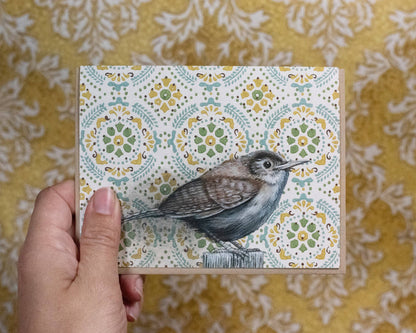 Emily Uchytil - House Wren   -  Note Card