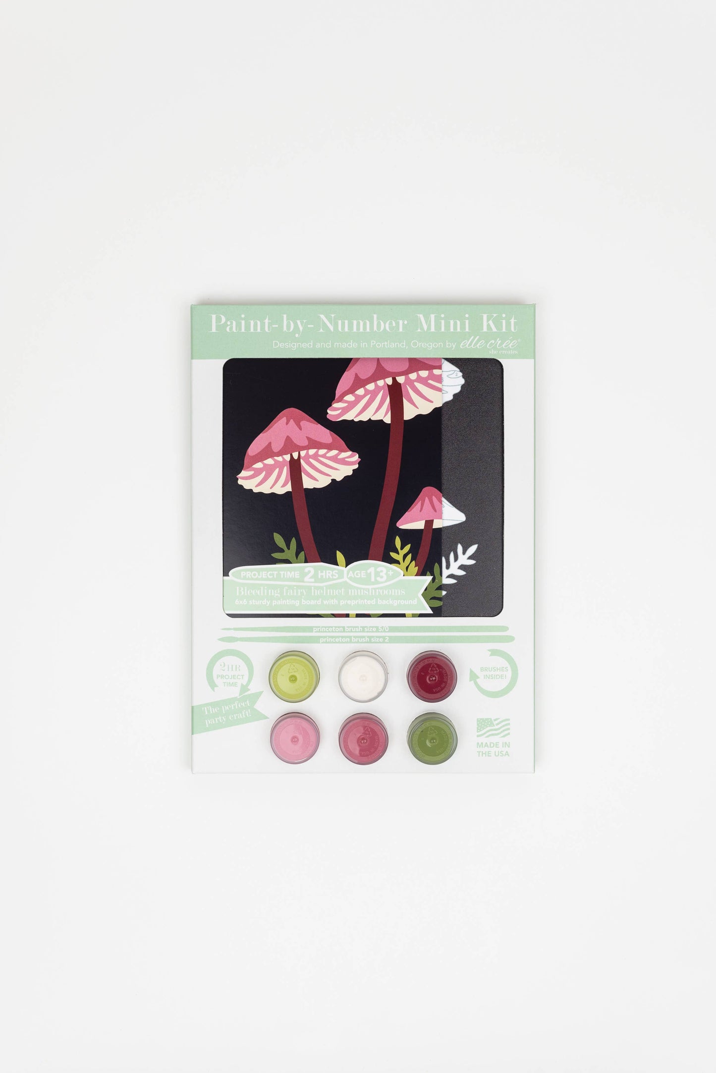 Bleeding Fairy Helmet Mushrooms MINI Paint-by-Number Kit