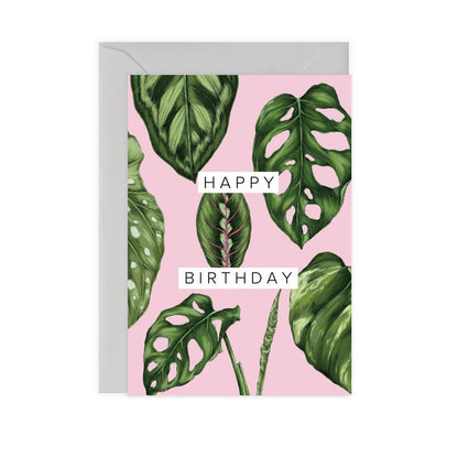 Catherine Lewis Design - Houseplants - Happy Birthday