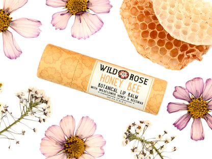 Wild Rose Herbs - Honey Bee - Natural Lip Balm: 12-Pack Display Box