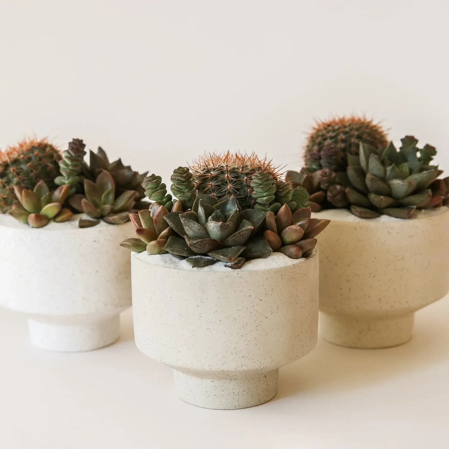 Jungle Club - Speckle Footed Pot - White Small