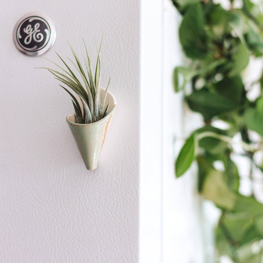 Tiny Ceramic Magnet Planter: Pistachio / With Plant