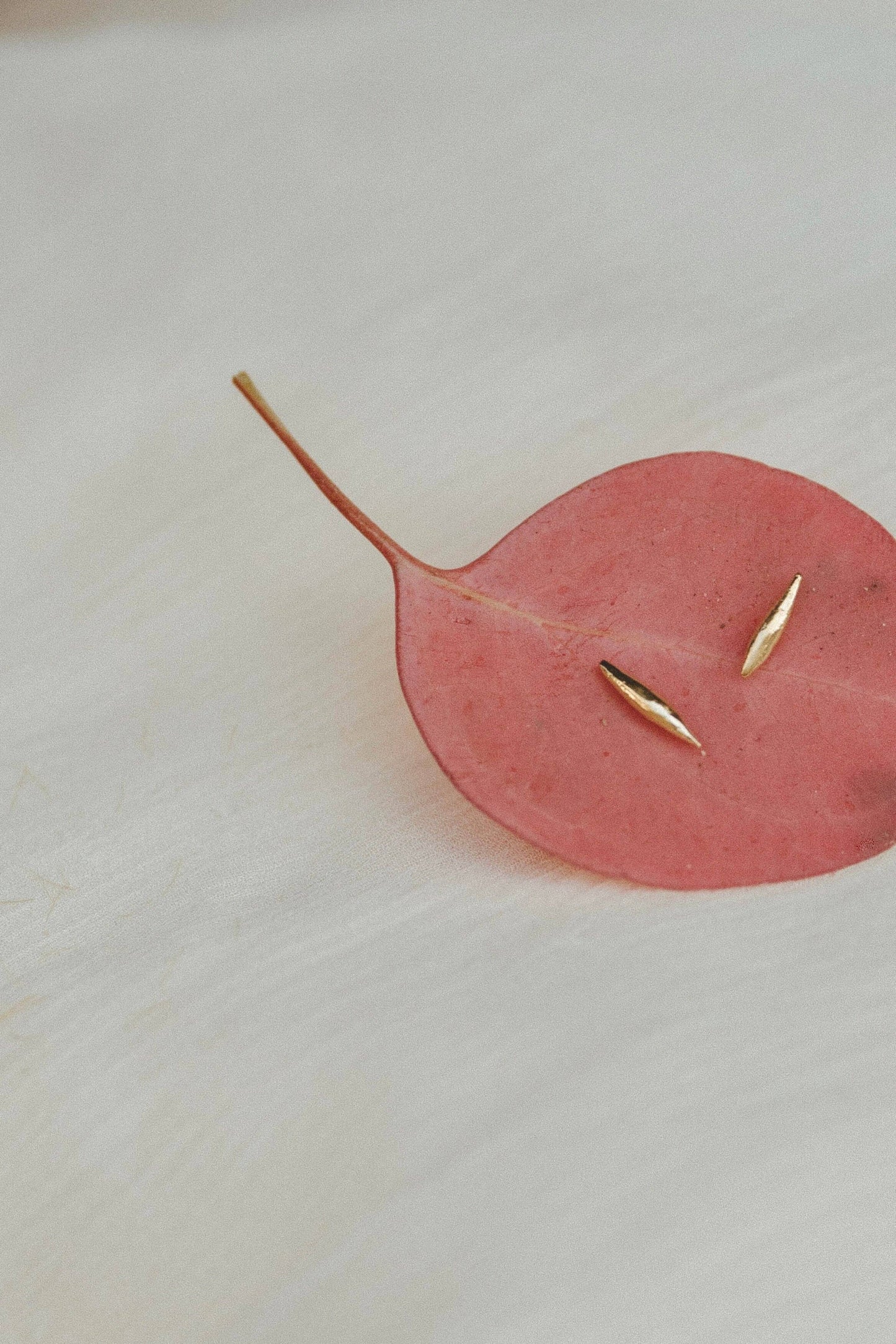 Petra Earrings