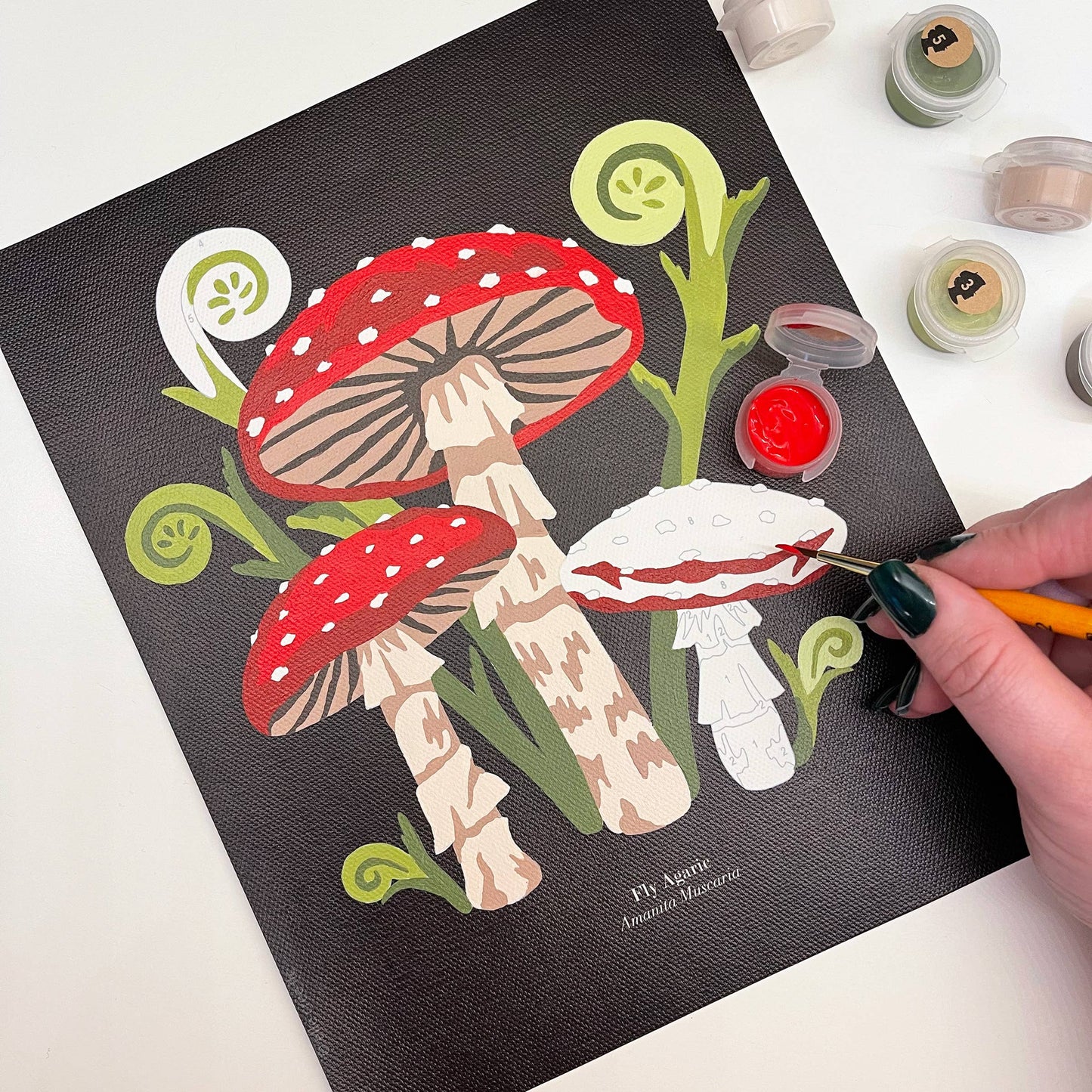 Fly Agaric Mushrooms Paint-by-Number Kit