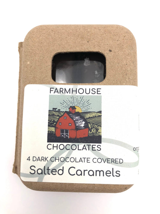 4 Piece Dark Chocolate Covered Salted Caramels
