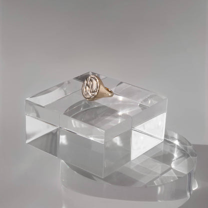 Silver Lining Circle Signet Ring