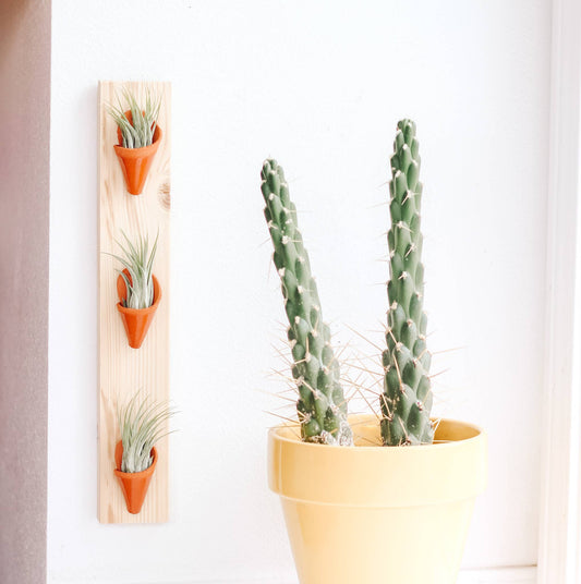 Ceramic Wall Planter - Triple: Terracotta / With Plant