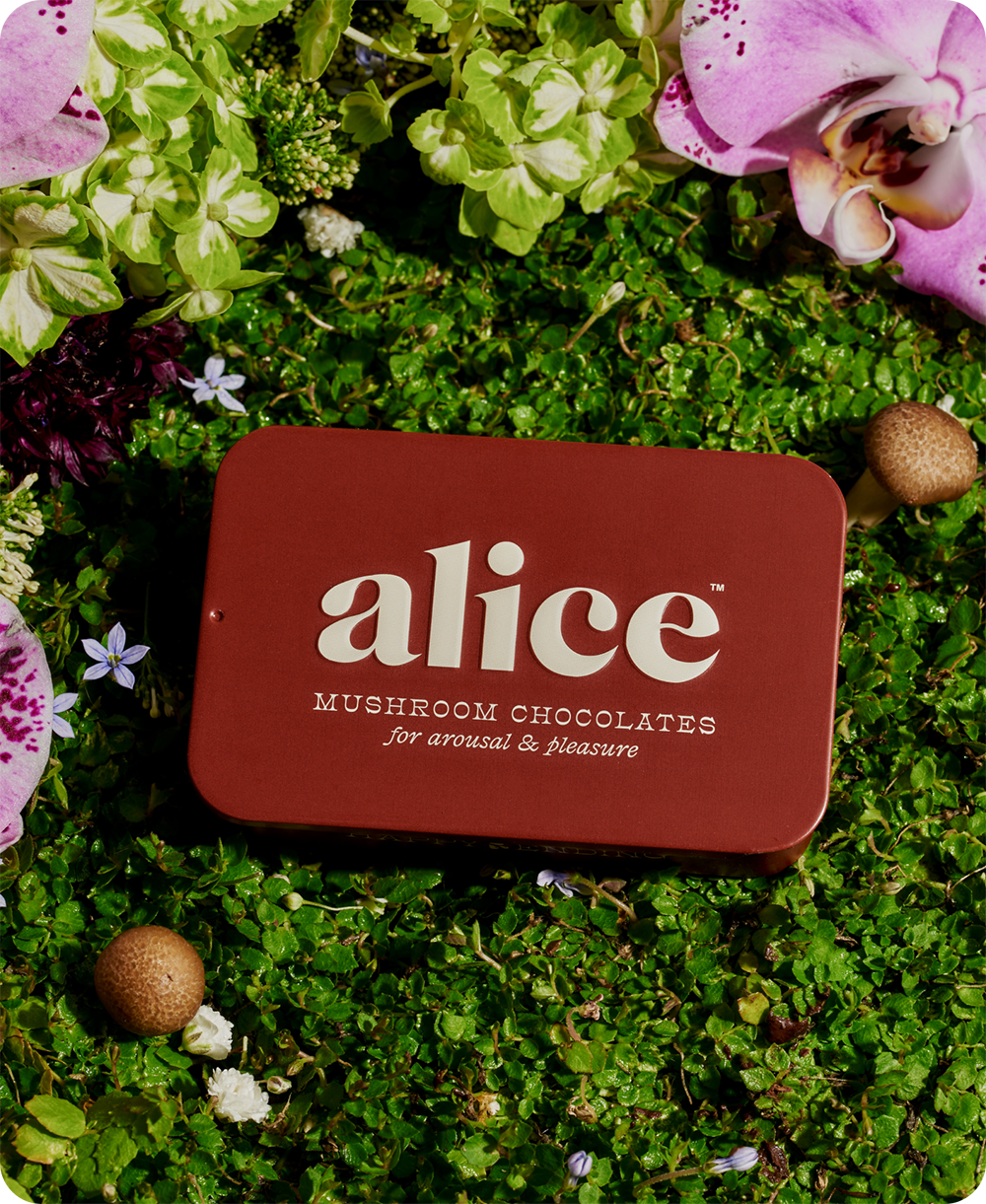 Alice Mushrooms - Happy Ending - mushroom chocolate supplement for wellness