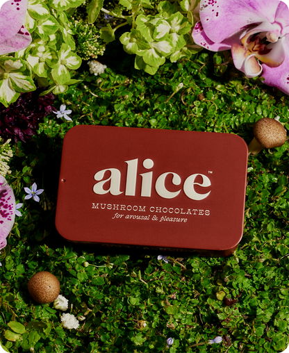 Alice Mushrooms - Happy Ending - mushroom chocolate supplement for wellness