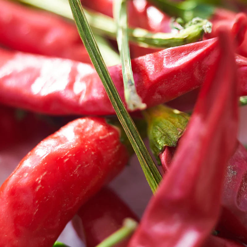 New Mexico Red Chile Honey