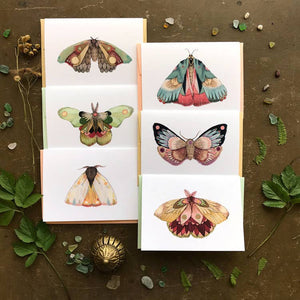 Moths Small Card Pack - Collector Set 2