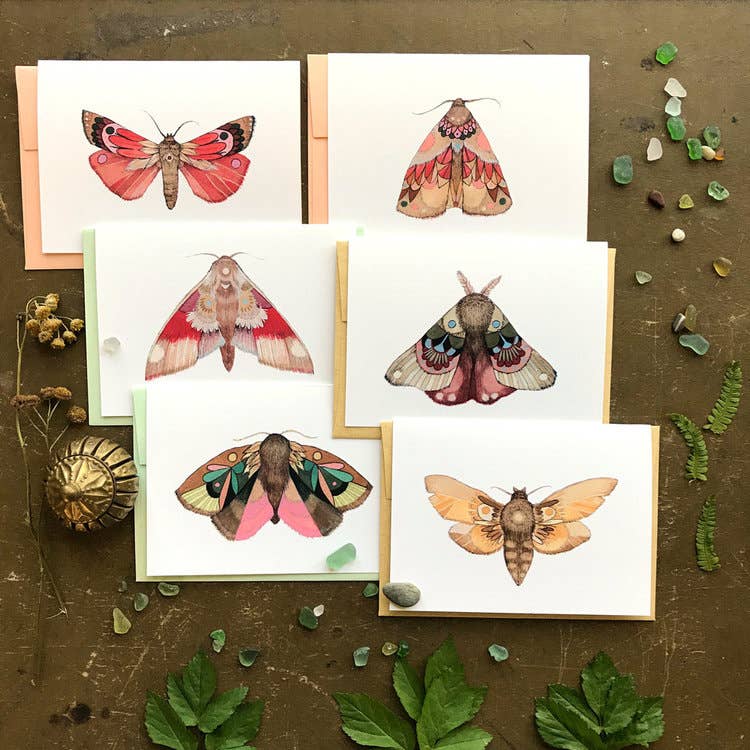 Moths Small Card Pack - Collector Set 1