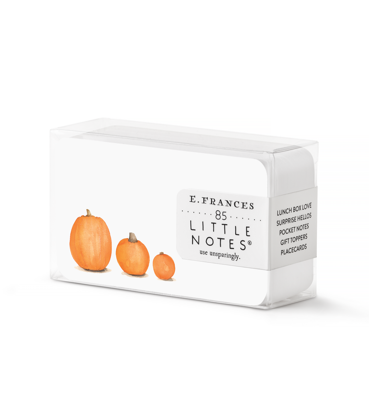 E. Frances Paper - Pumpkins Patch Little Notes®